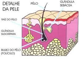 As causas que podem causar Acne e espinhas